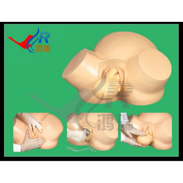 Advanced Maternity Model,Gynecological training model